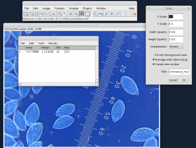 Capture d'écran du logiciel ImageJ sous Xubuntu 20.04.